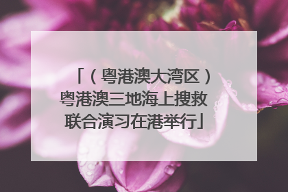 （粤港澳大湾区）粤港澳三地海上搜救联合演习在港举行