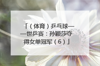 （体育）乒乓球——世乒赛：孙颖莎夺得女单冠军（6）
