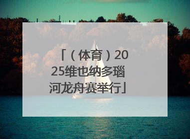 （体育）2025维也纳多瑙河龙舟赛举行