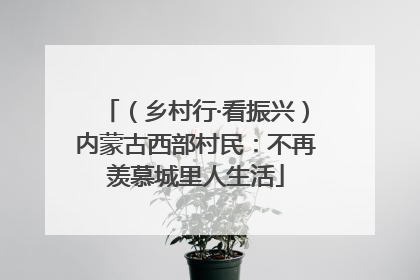 （乡村行·看振兴）内蒙古西部村民：不再羡慕城里人生活