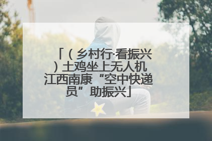 （乡村行·看振兴）土鸡坐上无人机 江西南康“空中快递员”助振兴