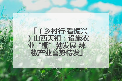（乡村行·看振兴）山西天镇：设施农业“棚”勃发展 辣椒产业蓄势待发