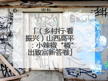 （乡村行·看振兴）山西高平：小辣椒“椒”出致富新答卷