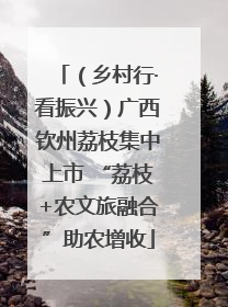 （乡村行·看振兴）广西钦州荔枝集中上市 “荔枝+农文旅融合”助农增收
