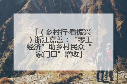 （乡村行·看振兴）浙江嘉善：“零工经济”助乡村民众“家门口”增收