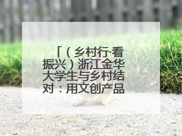 （乡村行·看振兴）浙江金华大学生与乡村结对：用文创产品赋能乡村振兴