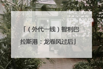 （外代一线）智利巴拉斯港：龙卷风过后