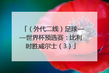 （外代二线）足球——世界杯预选赛：比利时胜威尔士（3）