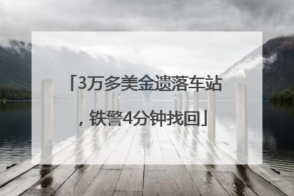 3万多美金遗落车站，铁警4分钟找回