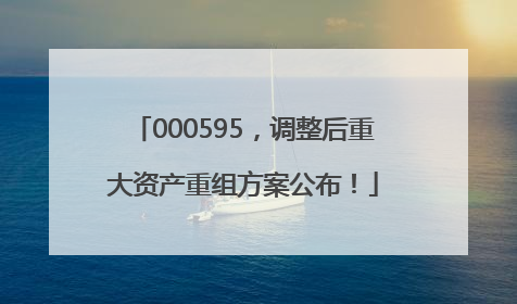 000595，调整后重大资产重组方案公布！