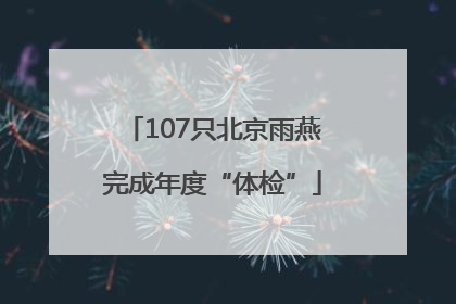 107只北京雨燕完成年度“体检”