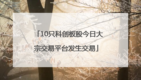10只科创板股今日大宗交易平台发生交易