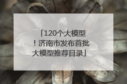 120个大模型！济南市发布首批大模型推荐目录