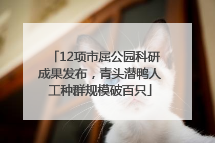 12项市属公园科研成果发布，青头潜鸭人工种群规模破百只