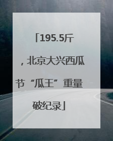 195.5斤，北京大兴西瓜节“瓜王”重量破纪录