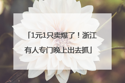 1元1只卖爆了！浙江有人专门晚上出去抓