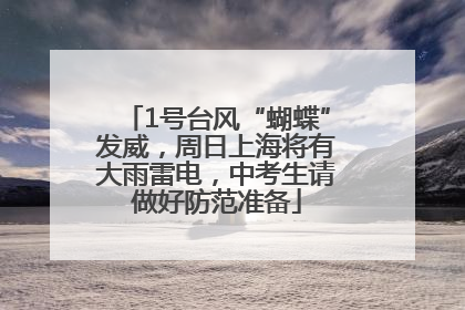 1号台风“蝴蝶”发威，周日上海将有大雨雷电，中考生请做好防范准备
