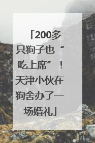 200多只狗子也“吃上席”！天津小伙在狗舍办了一场婚礼
