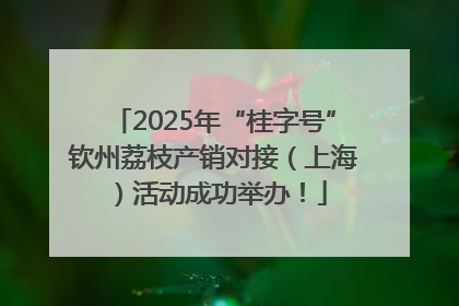 2025年“桂字号”钦州荔枝产销对接（上海）活动成功举办！