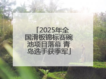 2025年全国滑板锦标赛碗池项目落幕 青岛选手获季军