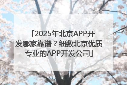 2025年北京APP开发哪家靠谱？细数北京优质专业的APP开发公司
