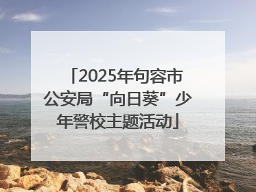 2025年句容市公安局“向日葵”少年警校主题活动