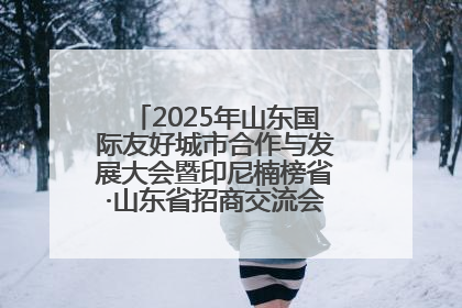 2025年山东国际友好城市合作与发展大会暨印尼楠榜省·山东省招商交流会在济南槐荫举行