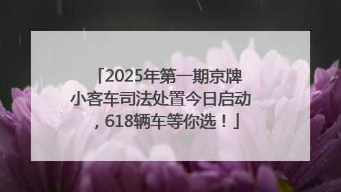 2025年第一期京牌小客车司法处置今日启动，618辆车等你选！