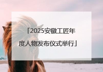 2025安徽工匠年度人物发布仪式举行