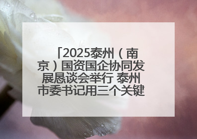2025泰州（南京）国资国企协同发展恳谈会举行 泰州市委书记用三个关键词推介泰州
