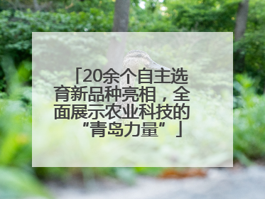 20余个自主选育新品种亮相，全面展示农业科技的“青岛力量”