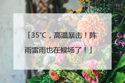 35℃，高温暴击！阵雨雷雨也在候场了！