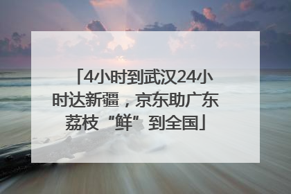 4小时到武汉24小时达新疆，京东助广东荔枝“鲜”到全国