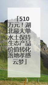 510万元！湖北最大单水土保持生态产品价值转化落地孝感云梦