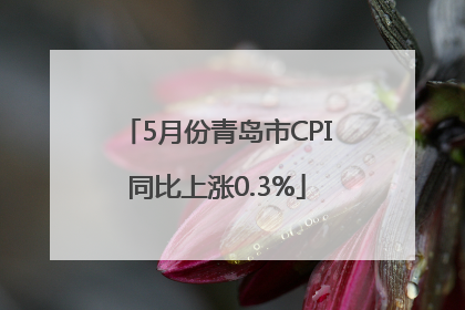 5月份青岛市CPI同比上涨0.3%