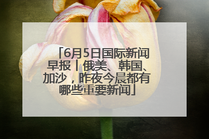 6月5日国际新闻早报丨俄美、韩国、加沙，昨夜今晨都有哪些重要新闻