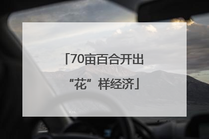 70亩百合开出“花”样经济