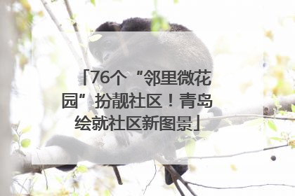 76个“邻里微花园”扮靓社区！青岛绘就社区新图景