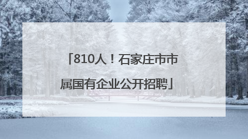 810人！石家庄市市属国有企业公开招聘