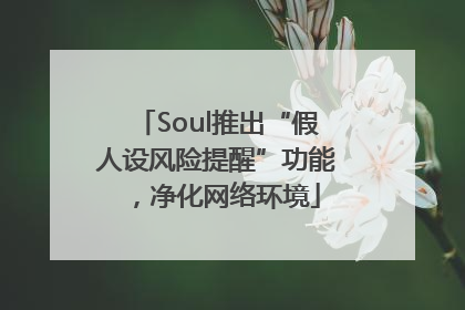 Soul推出“假人设风险提醒”功能，净化网络环境