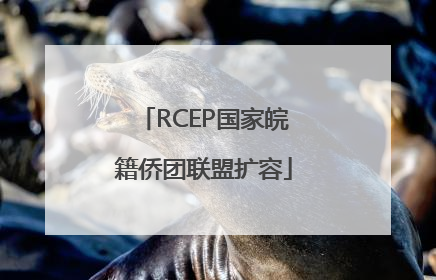 RCEP国家皖籍侨团联盟扩容